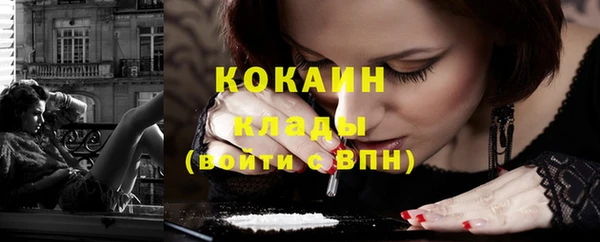 спиды Вяземский
