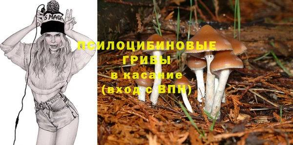 МДПВ Вязники