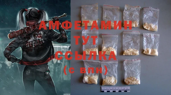 спиды Вяземский