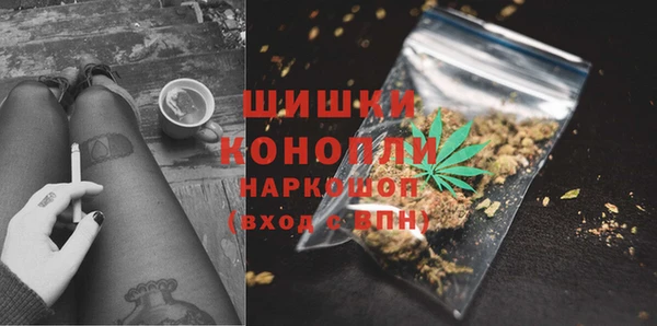спиды Вяземский