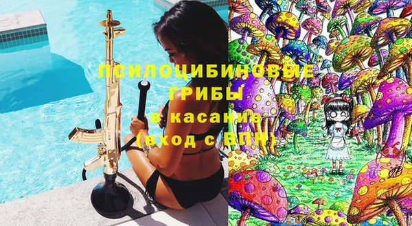 спиды Вяземский