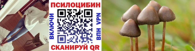 Галлюциногенные грибы мицелий  Калининград 
