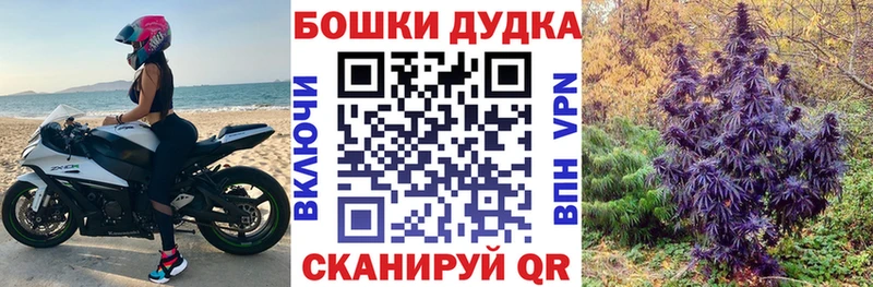 Шишки марихуана MAZAR  Калининград 